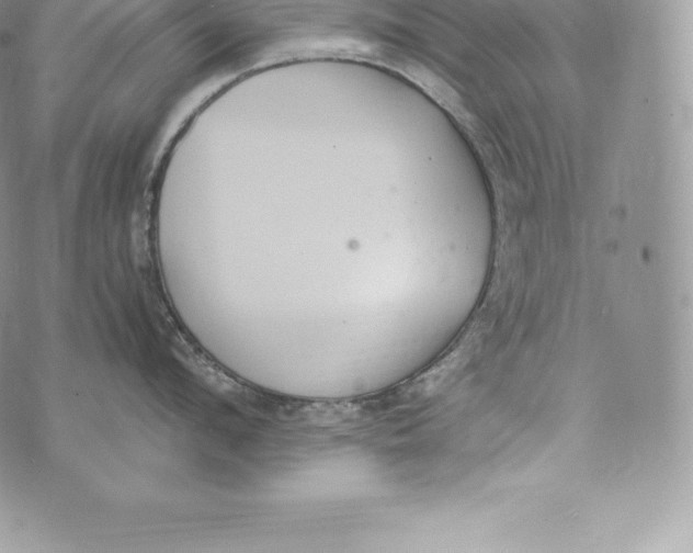 X0000072930912200608111532