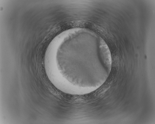 X0000072930913200608111531