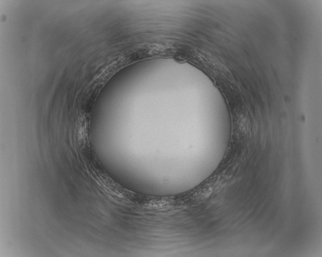 X0000072930914200608111531