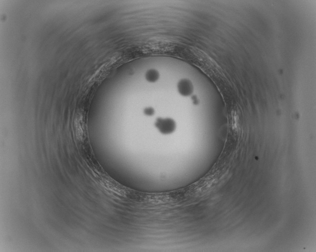 X0000072930915200608111531