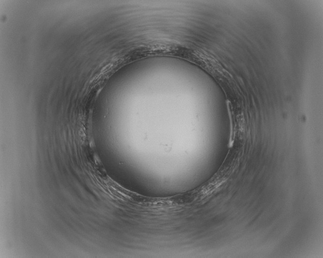 X0000072930916200608111531