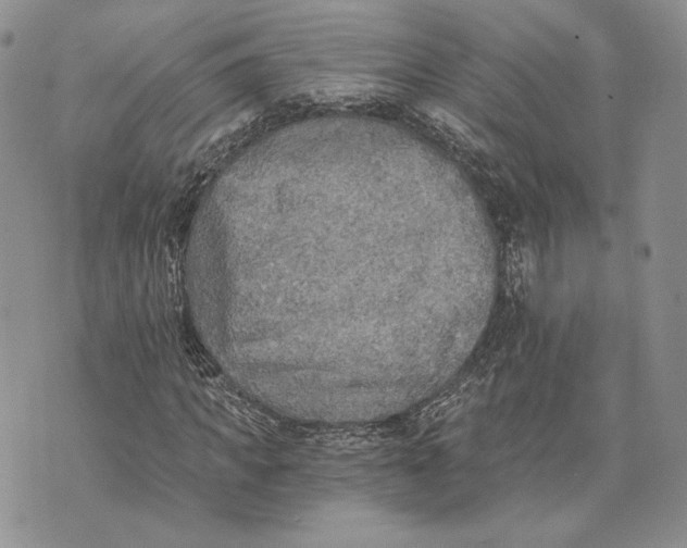 X0000072930917200608111531