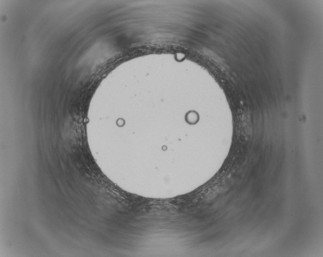 X0000072930918200608111531