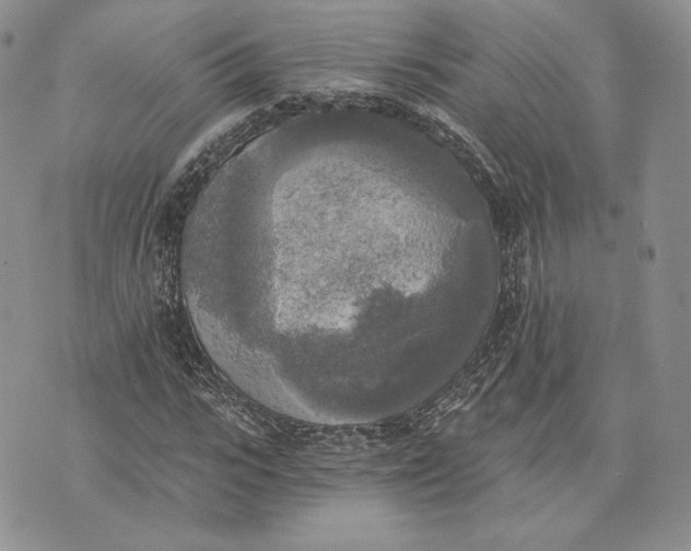 X0000072930919200608111531