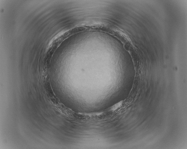 X0000072930920200608111531