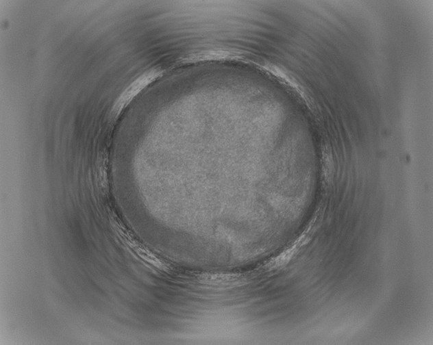 X0000072930921200608111531