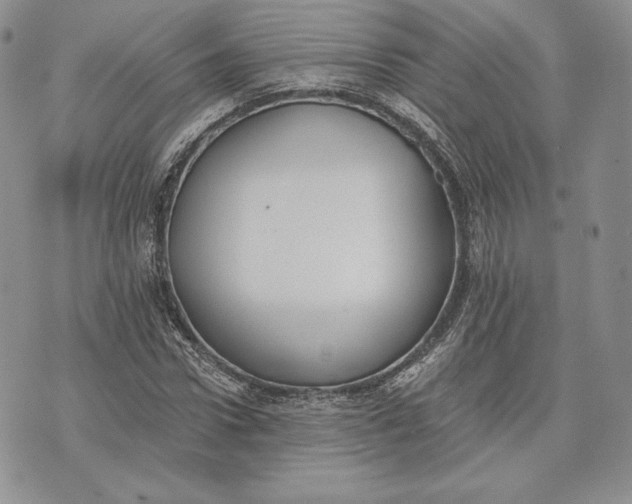 X0000072930922200608111531