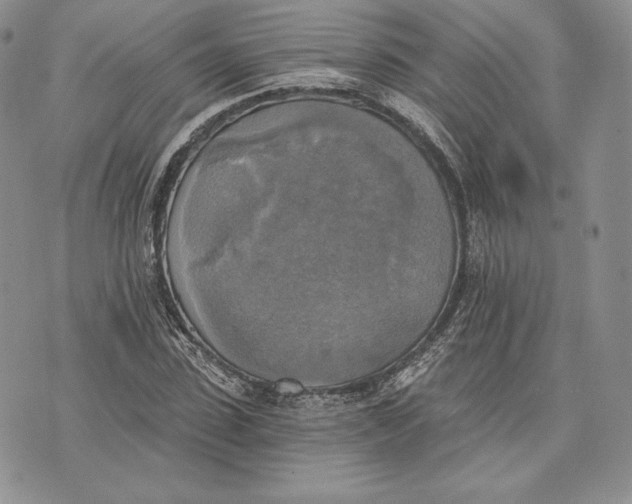 X0000072930923200608111531