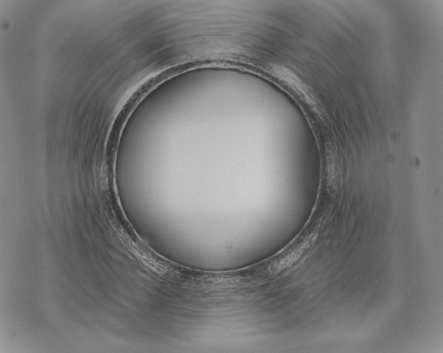 X0000072930924200608111531