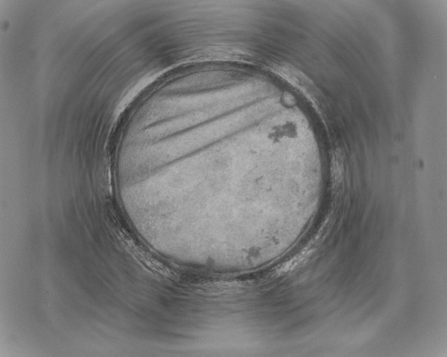 X0000072930925200608111531