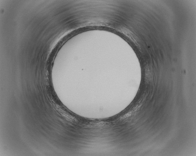 X0000072930926200608111531