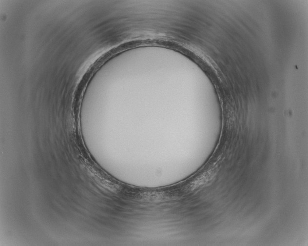 X0000072930927200608111531