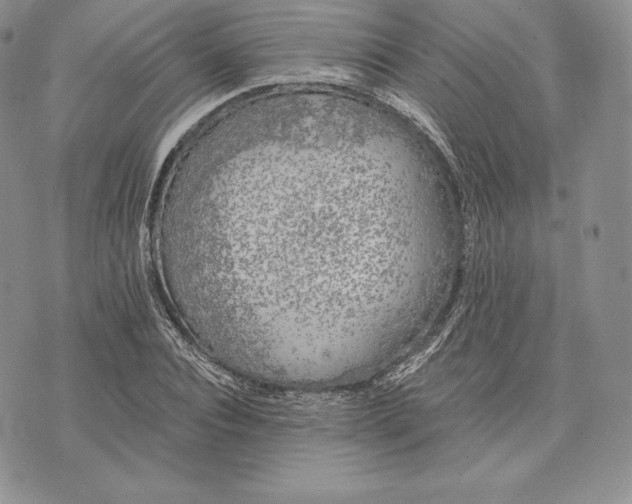 X0000072930928200608111531