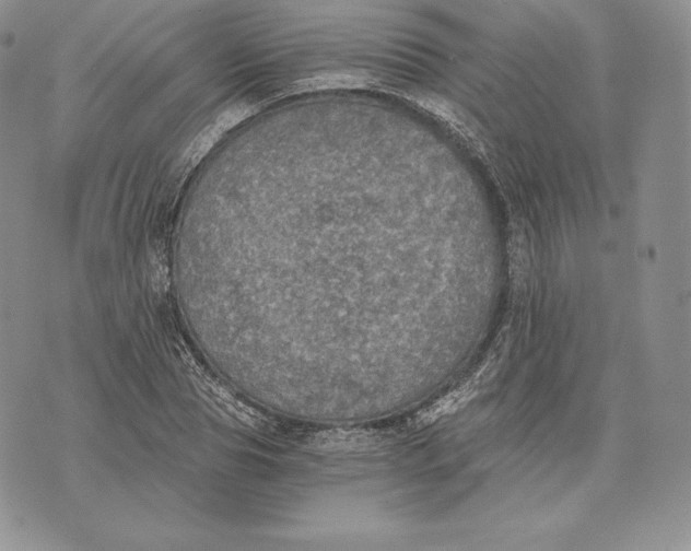 X0000072930929200608111531