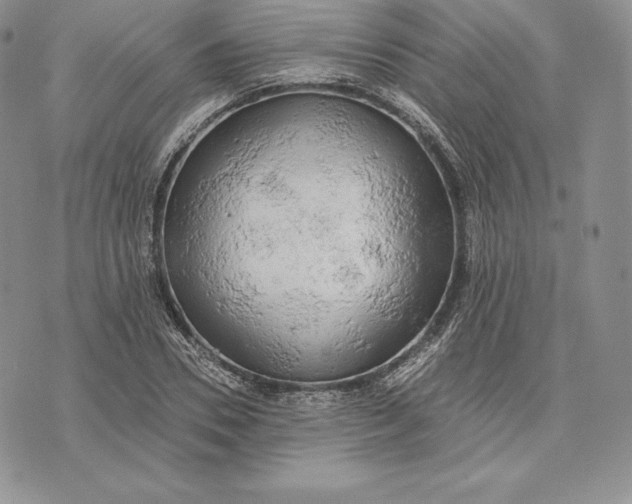 X0000072930930200608111531