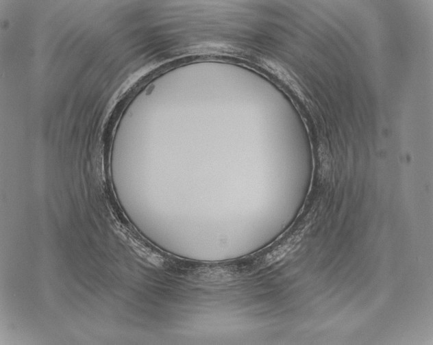 X0000072930931200608111532