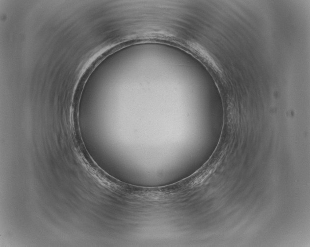 X0000072930932200608111532