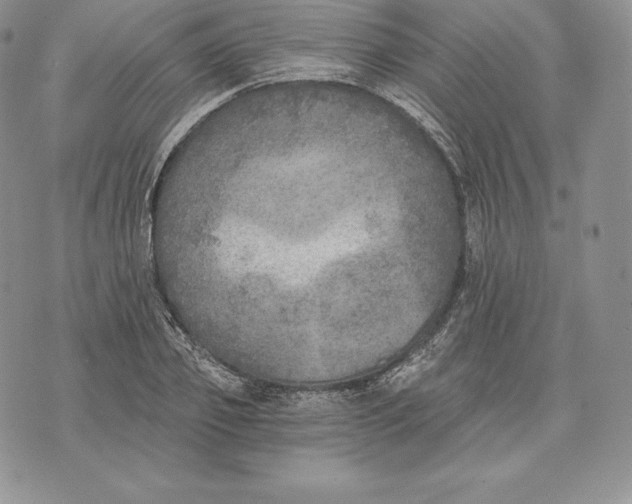 X0000072930933200608111532