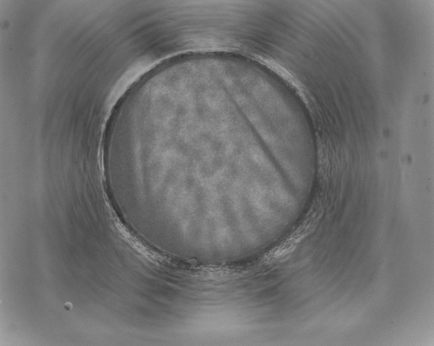 X0000072930935200608111532