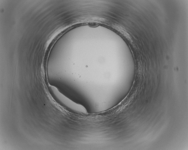 X0000072930936200608111532