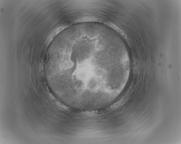 X0000072930937200608111532