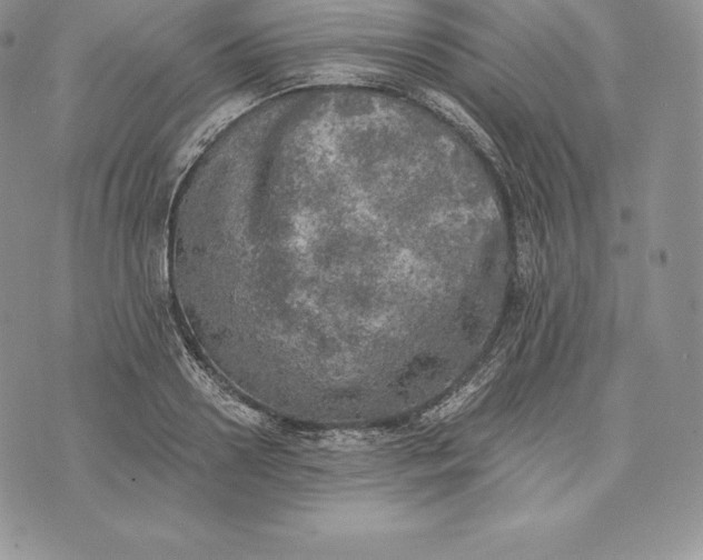 X0000072930938200608111532