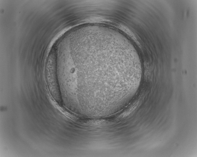 X0000072930939200608111532