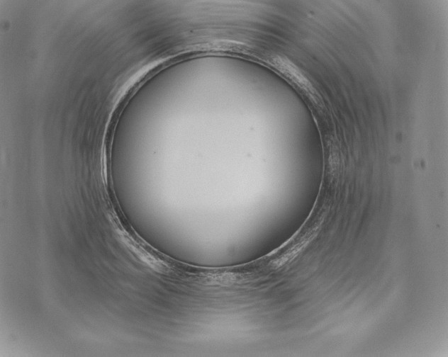 X0000072930940200608111532