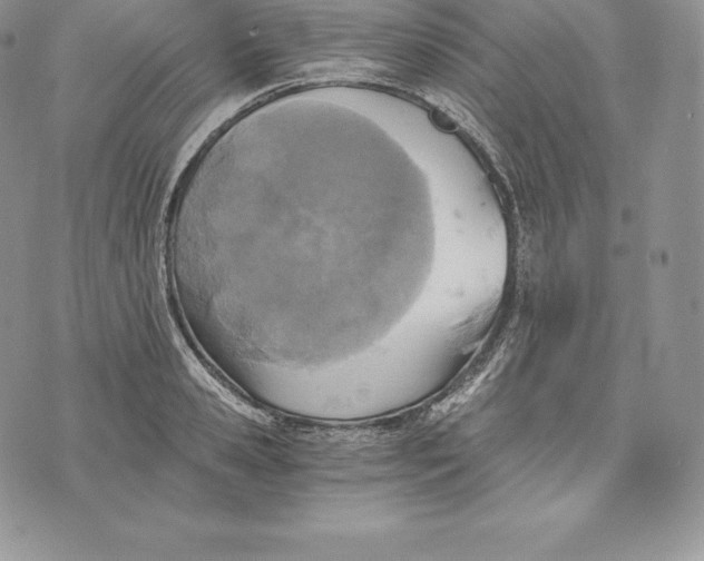 X0000072930941200608111532