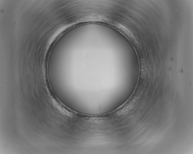 X0000072930942200608111532