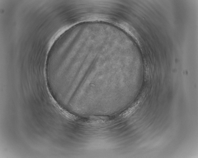 X0000072930943200608111532