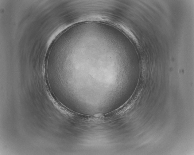 X0000072930944200608111532