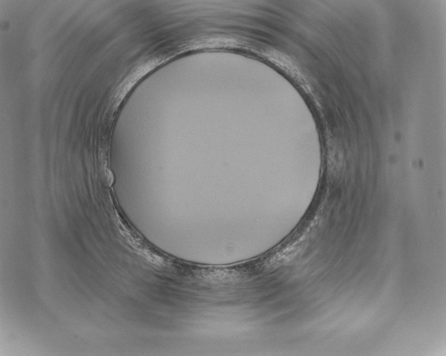 X0000072930945200608111532