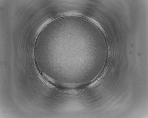 X0000072930946200608111532