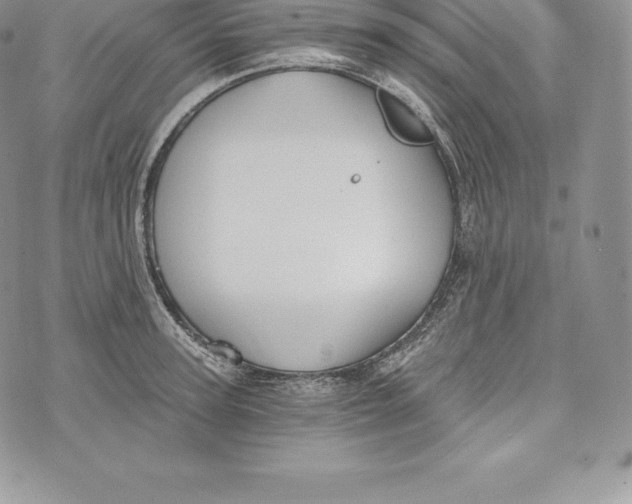 X0000072930947200608111532