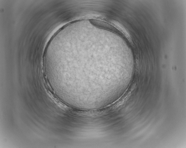 X0000072930948200608111532