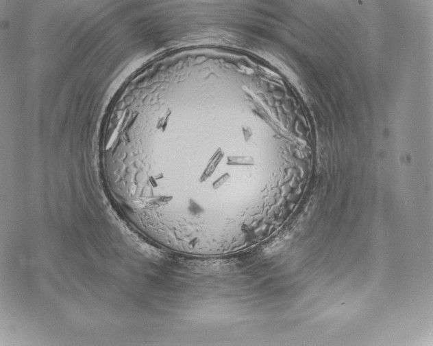 X0000072930949200608111532