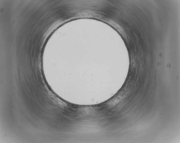 X0000072930950200608111532