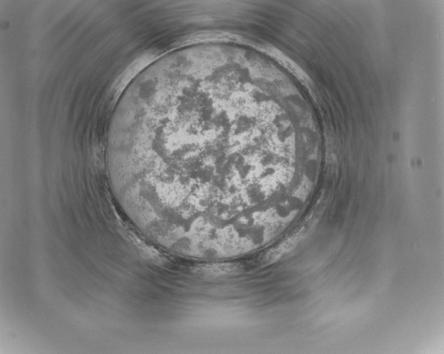 X0000072930953200608111532