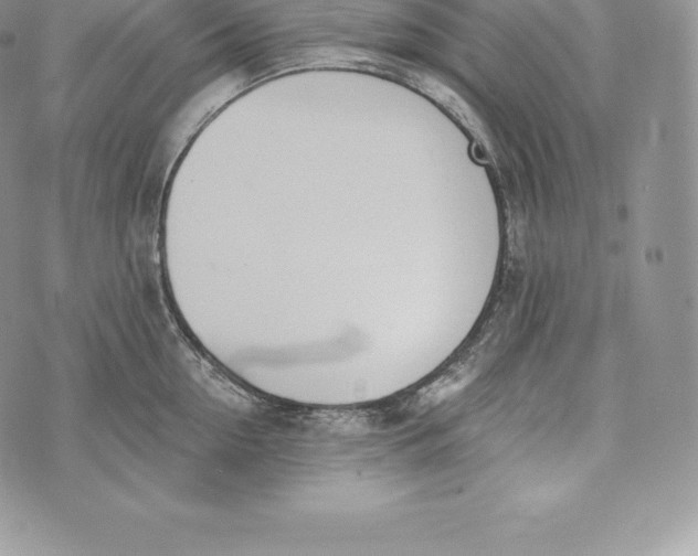 X0000072930954200608111532