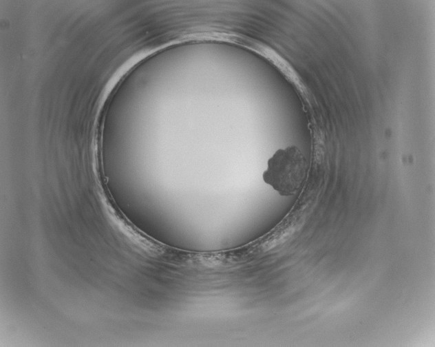 X0000072930955200608111532