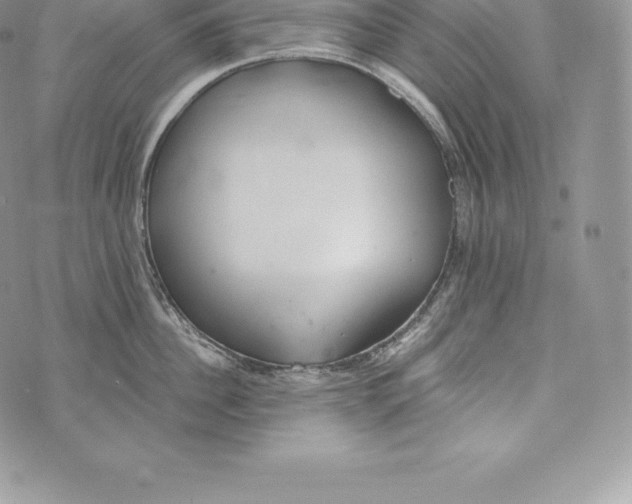 X0000072930956200608111532