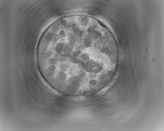 X0000072930957200608111532