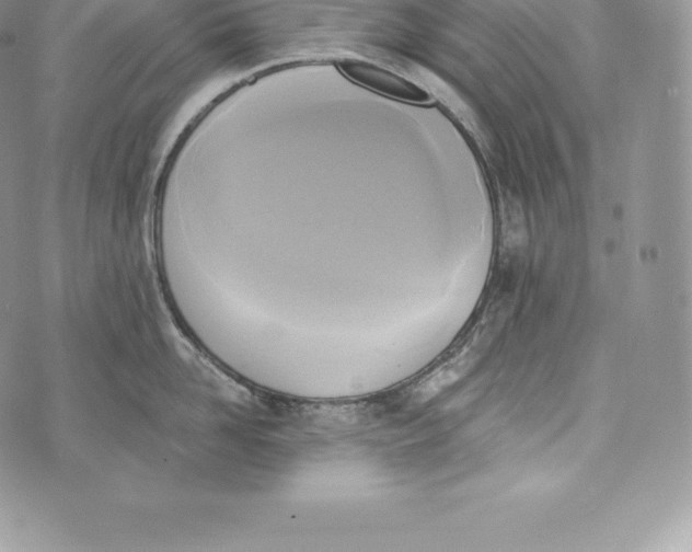 X0000072930958200608111532