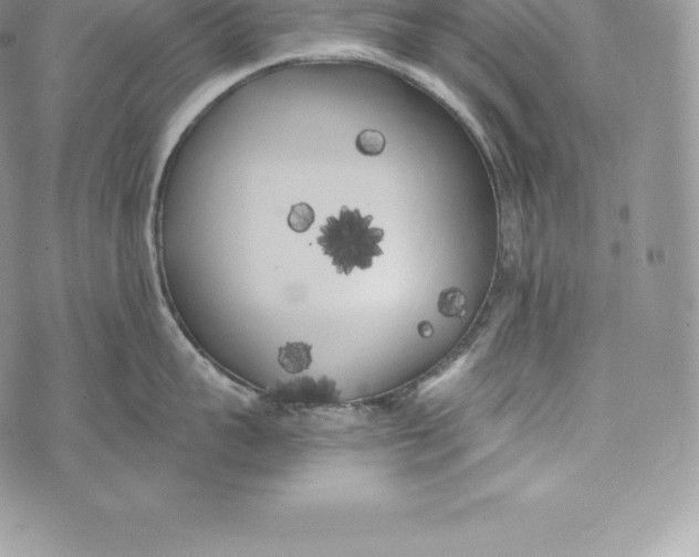 X0000072930959200608111532