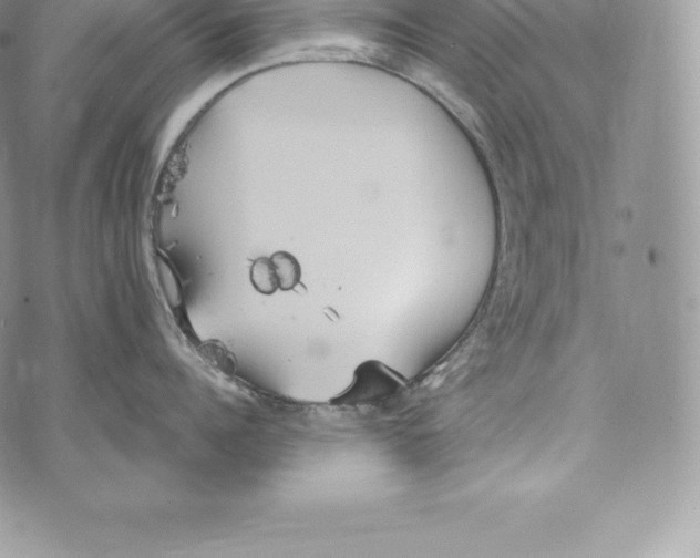 X0000072930960200608111532