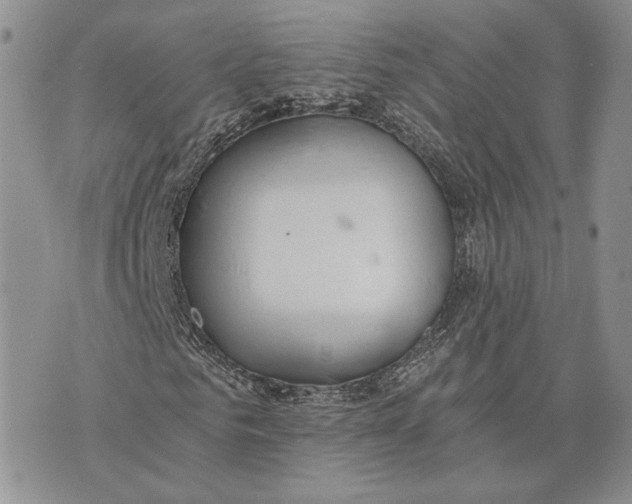 X0000072930961200608111531