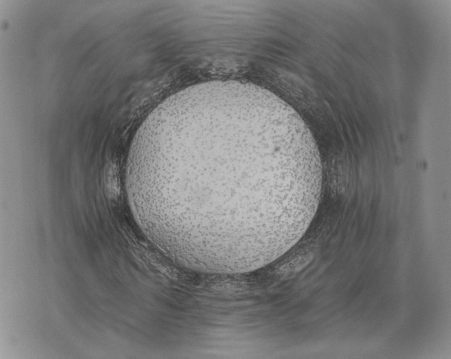 X0000072930962200608111531