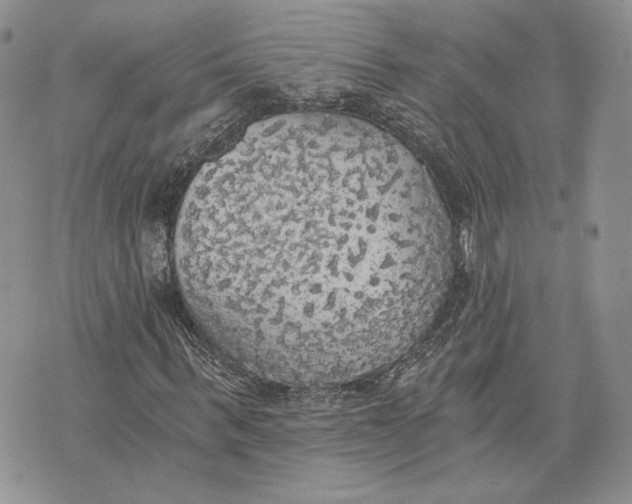 X0000072930963200608111531