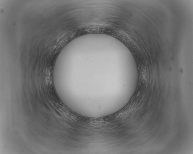 X0000072930964200608111531